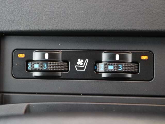 Lexus RX 11