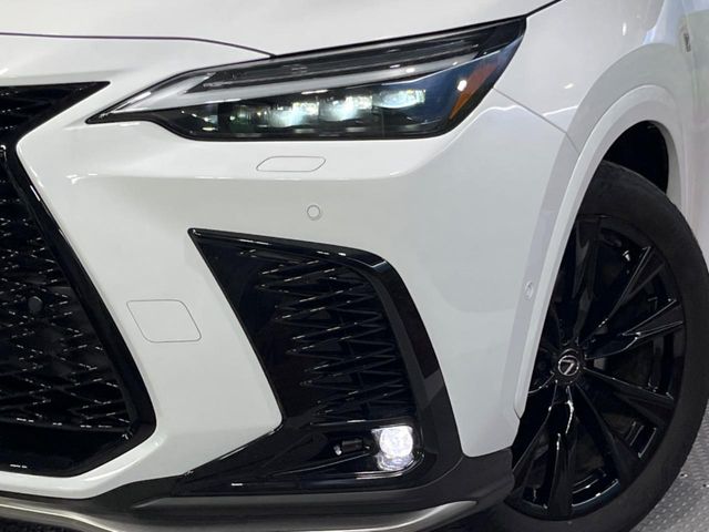 Lexus NX 12
