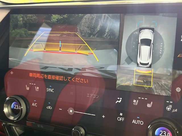 Lexus NX 6