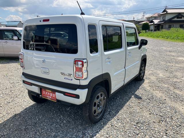 Suzuki Hustler 9