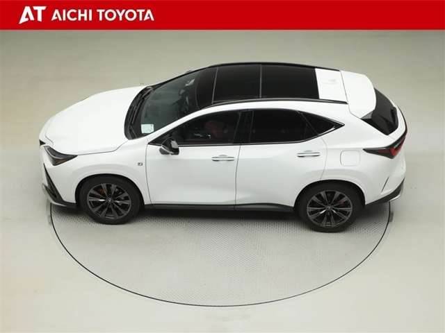 Lexus NX 11