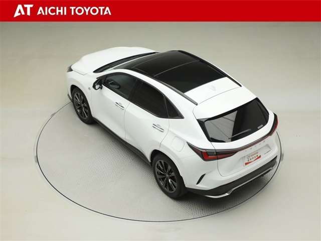 Lexus NX 12