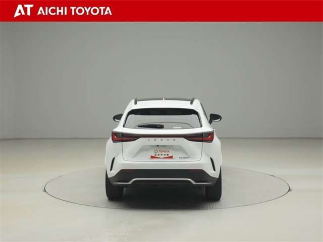 Lexus NX 5