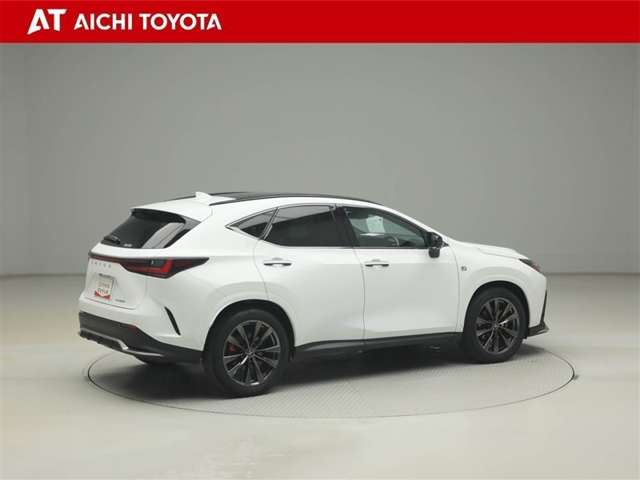 Lexus NX 6