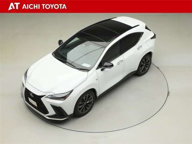 Lexus NX 10