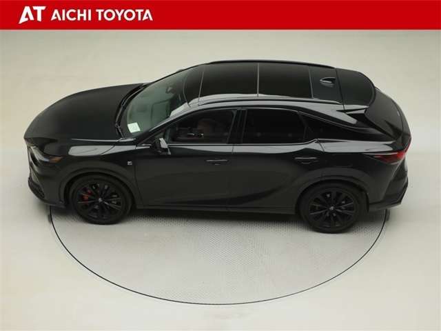 Lexus RX 11