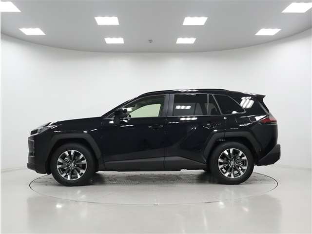 Toyota RAV4 6