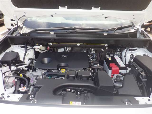 Toyota RAV4 10