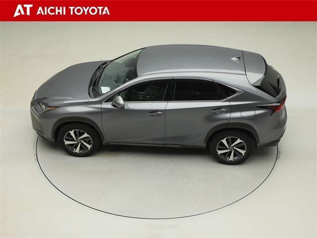 Lexus NX 11