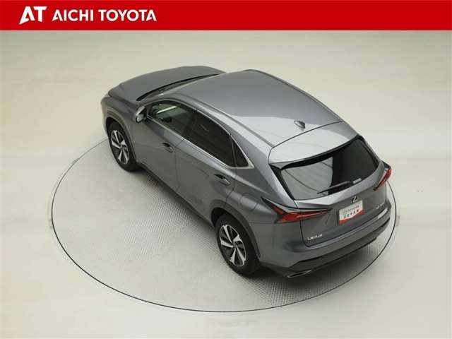 Lexus NX 12