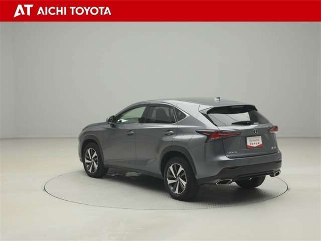 Lexus NX 4