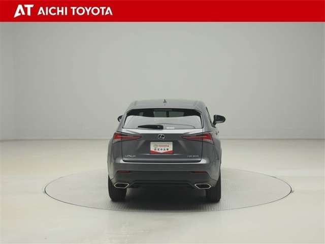 Lexus NX 5