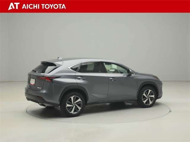 Lexus NX 6