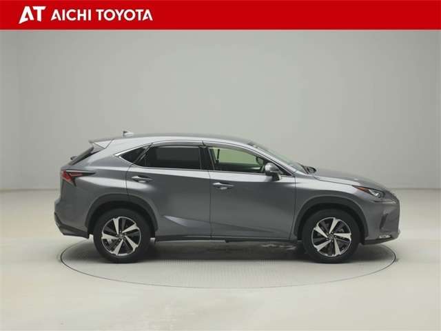 Lexus NX 7