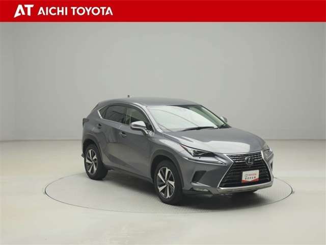 Lexus NX 8