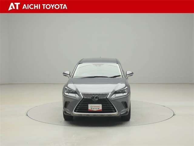 Lexus NX 9