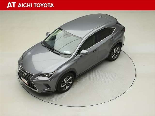 Lexus NX 10