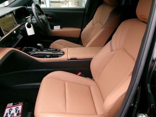 Toyota Crown Sport 10