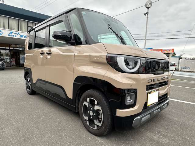 Mitsubishi Delica Mini 6