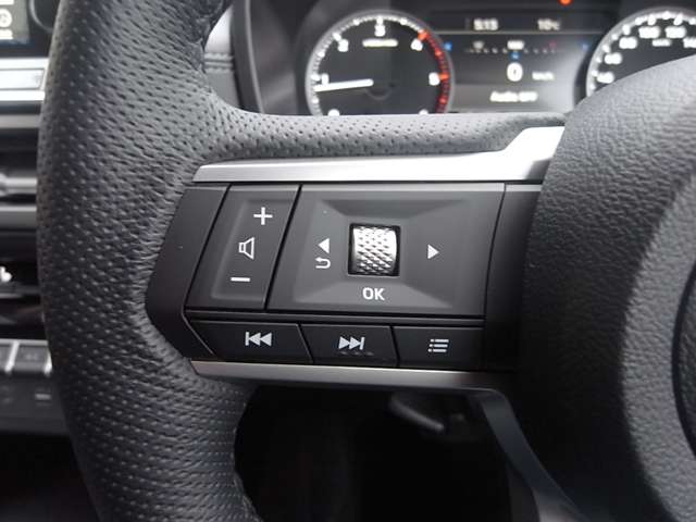 Mitsubishi Triton 12