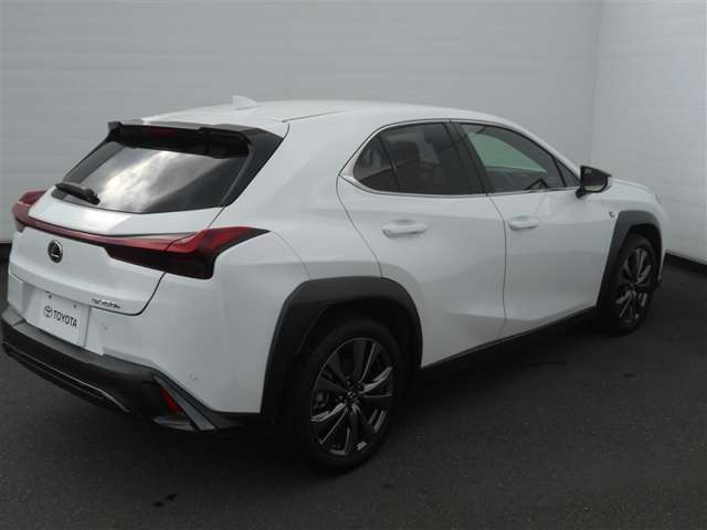 Lexus UX 6