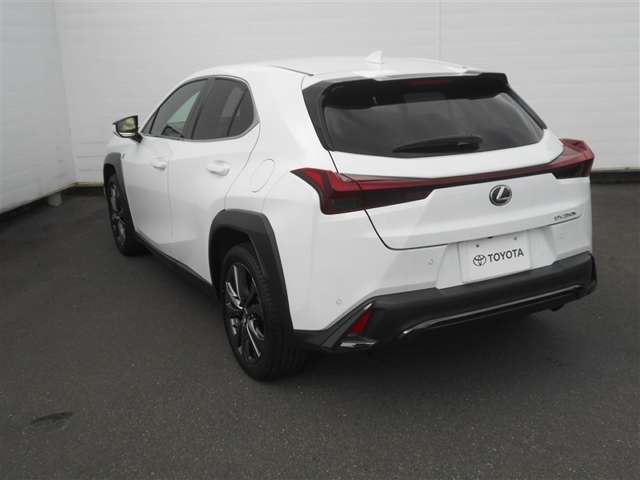 Lexus UX 8