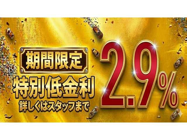 Mitsubishi Delica Mini 5