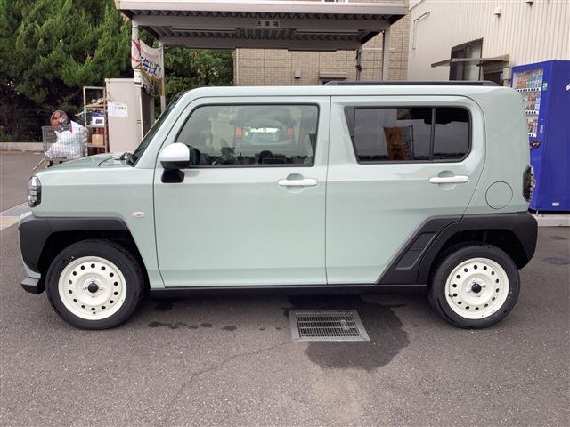 Daihatsu Taft 11