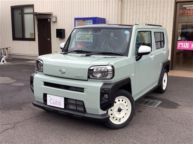 Daihatsu Taft 6