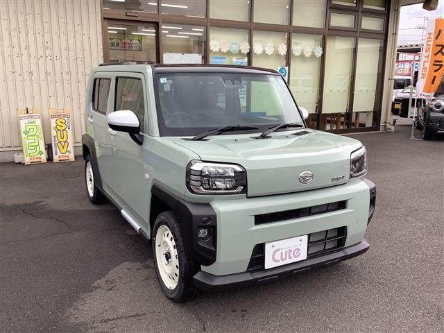 Daihatsu Taft 9