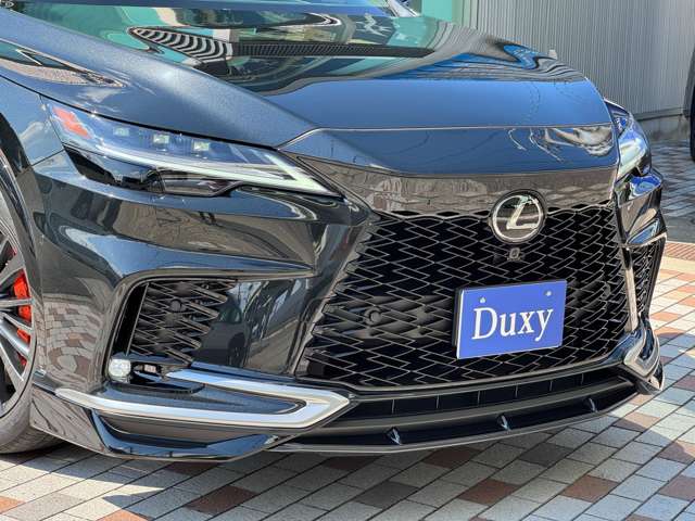 Lexus RX 11