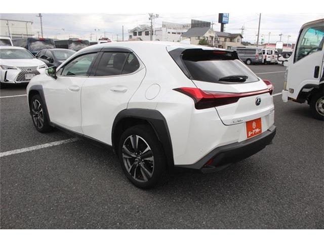 Lexus UX 11