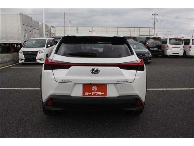 Lexus UX 12