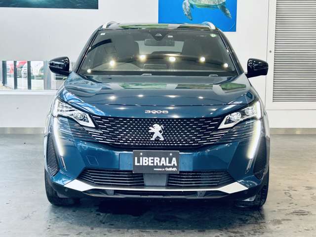 Peugeot 3008 8