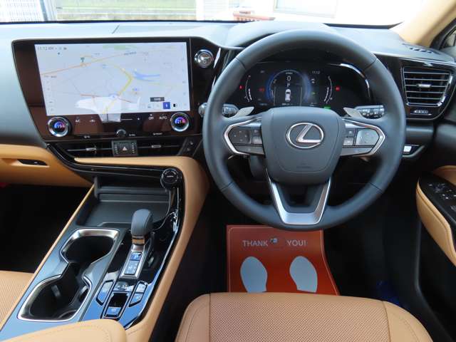 Lexus NX 11