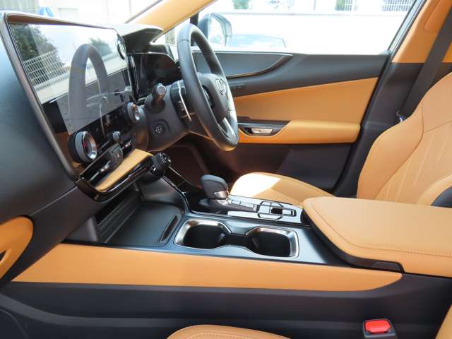 Lexus NX 12