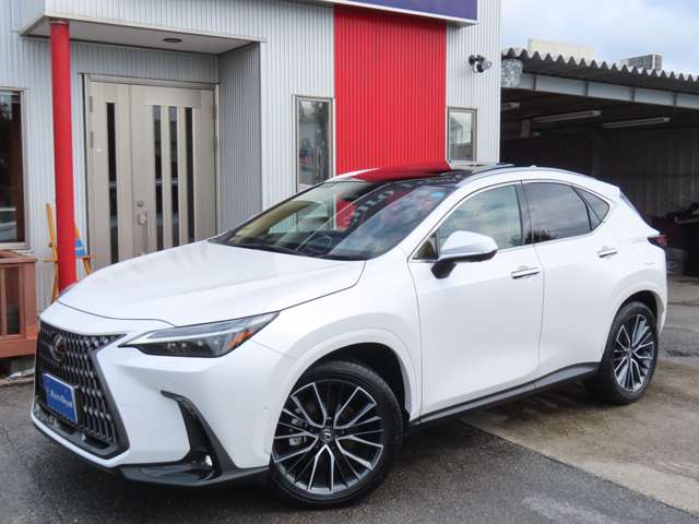 Lexus NX 2