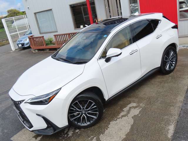 Lexus NX 3