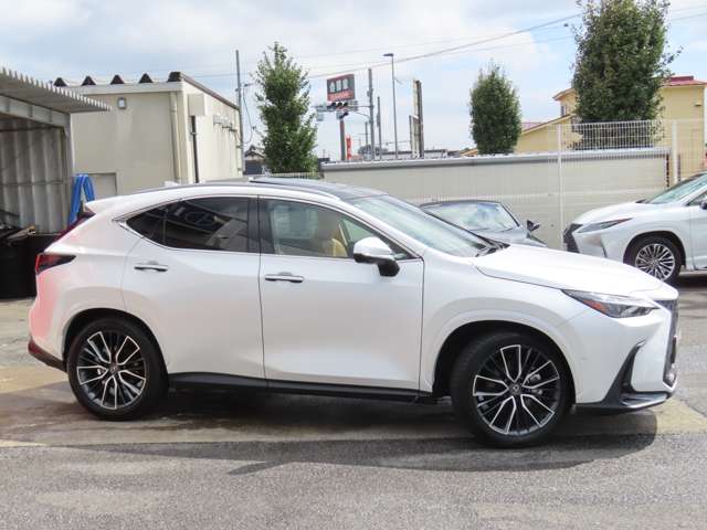 Lexus NX 4