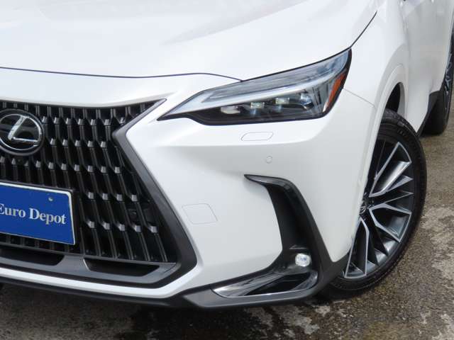 Lexus NX 5