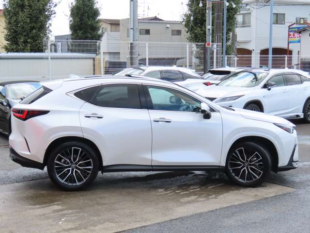 Lexus NX 6