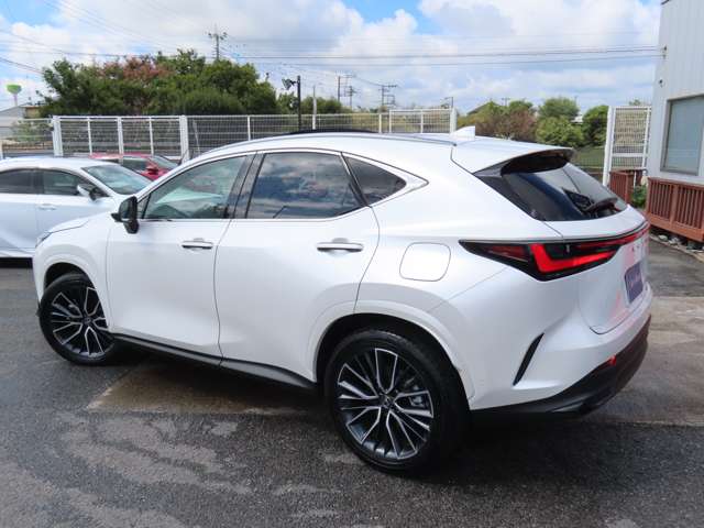 Lexus NX 8