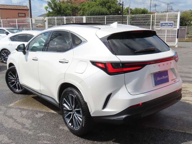 Lexus NX 9
