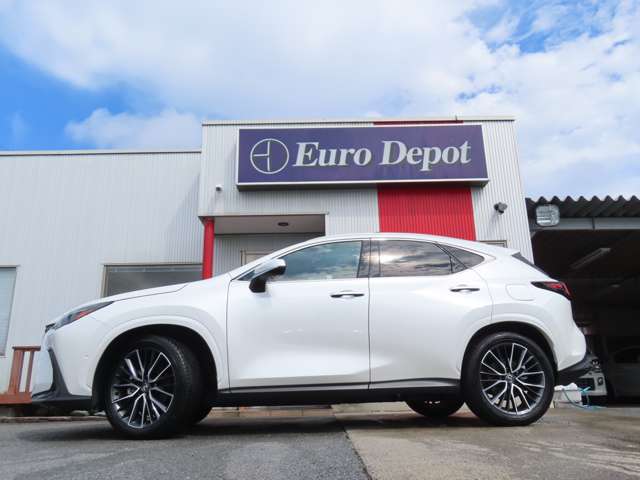 Lexus NX 10