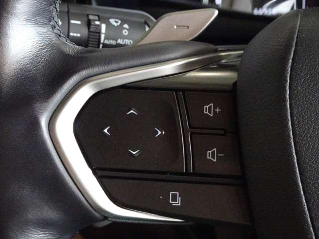 Lexus NX 12