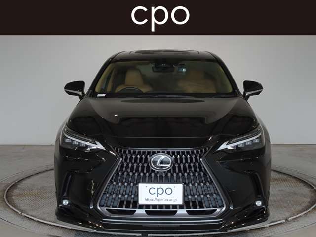 Lexus NX 5