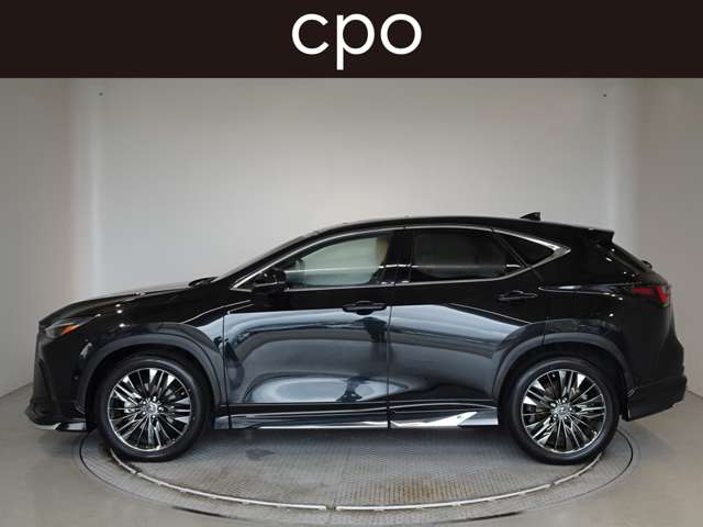 Lexus NX 6