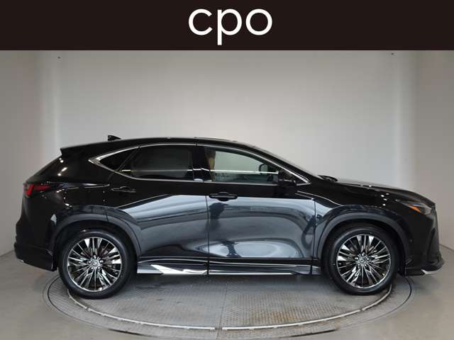 Lexus NX 7