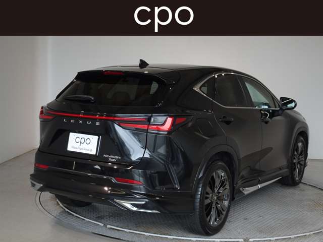 Lexus NX 8