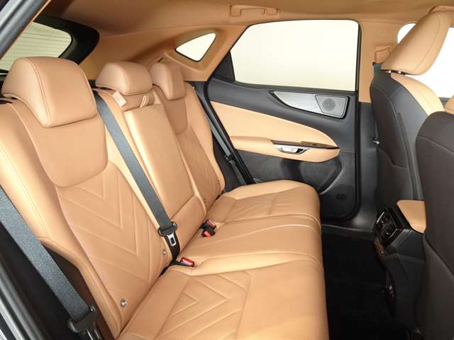 Lexus NX 10